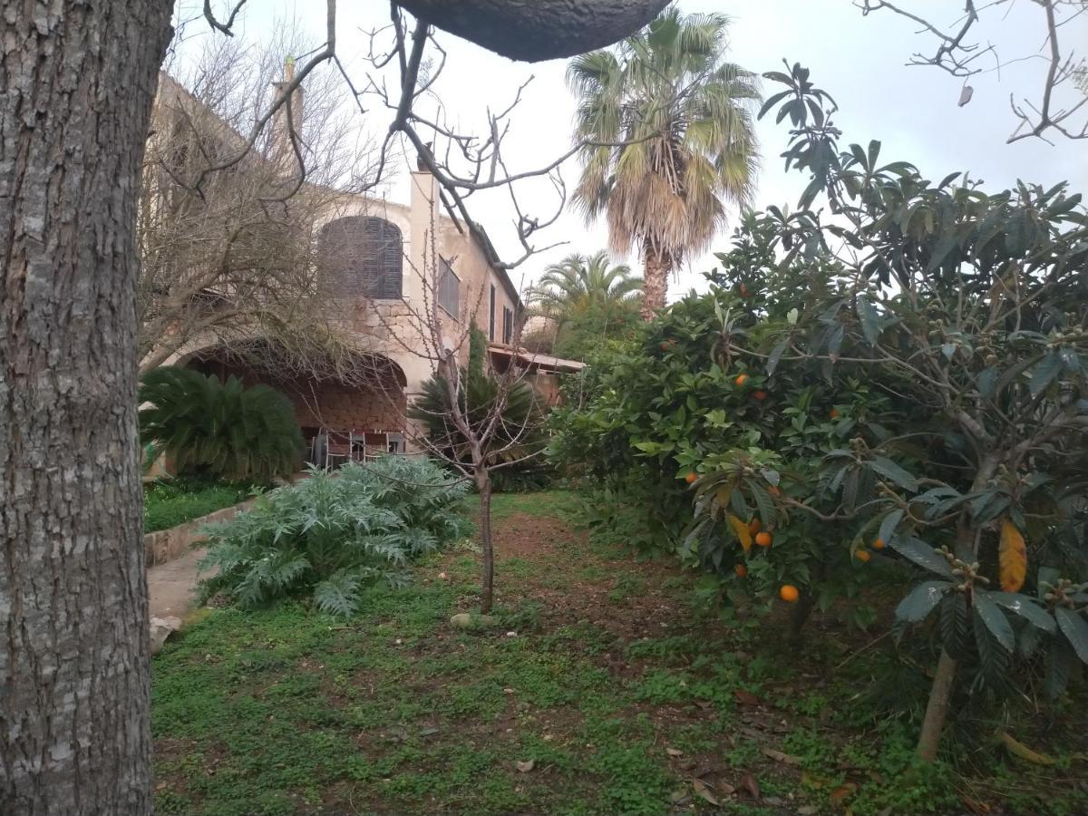 Lujosa Casa Mallorquina Restaurada Ses Salines  Kültér fotó