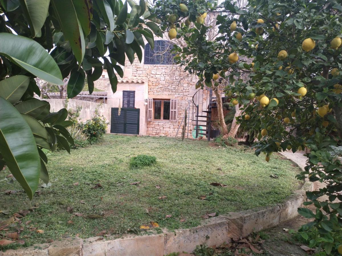 Lujosa Casa Mallorquina Restaurada Ses Salines  Kültér fotó